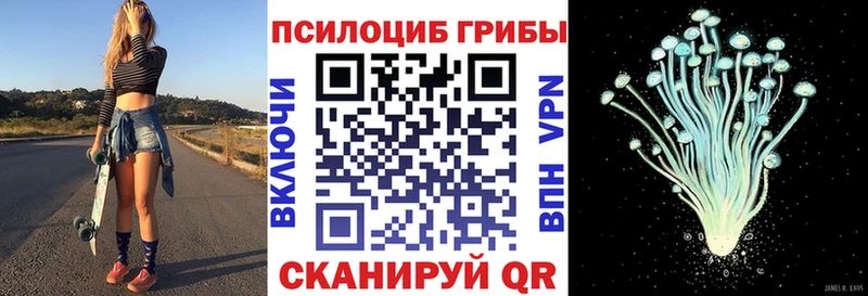 цены   Бакал  Псилоцибиновые грибы Magic Shrooms 